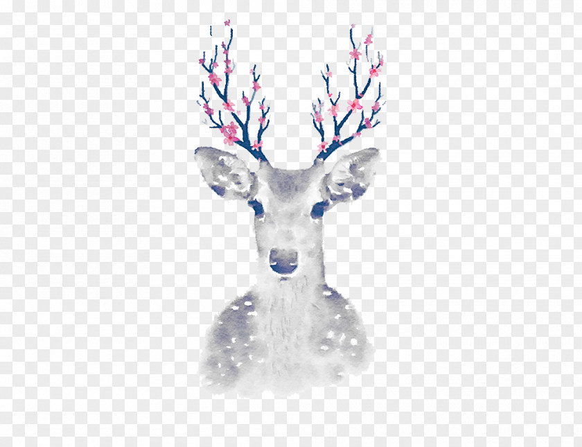 White Deer Pxe8re Davids Cartoon PNG