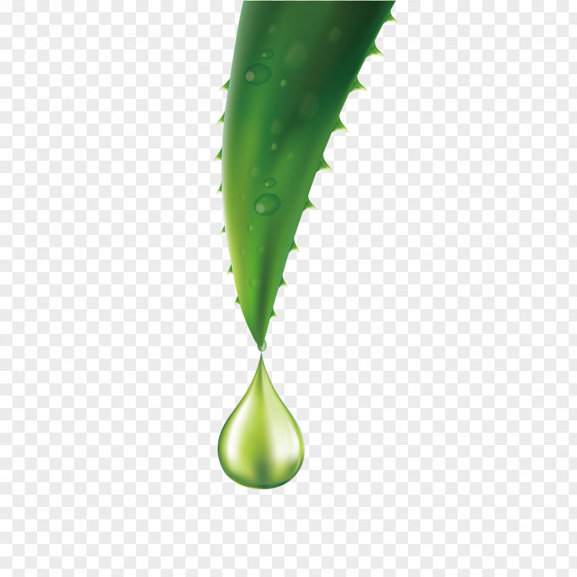 A Drop Of Aloe Vera Essential Oil Vector Material PNG