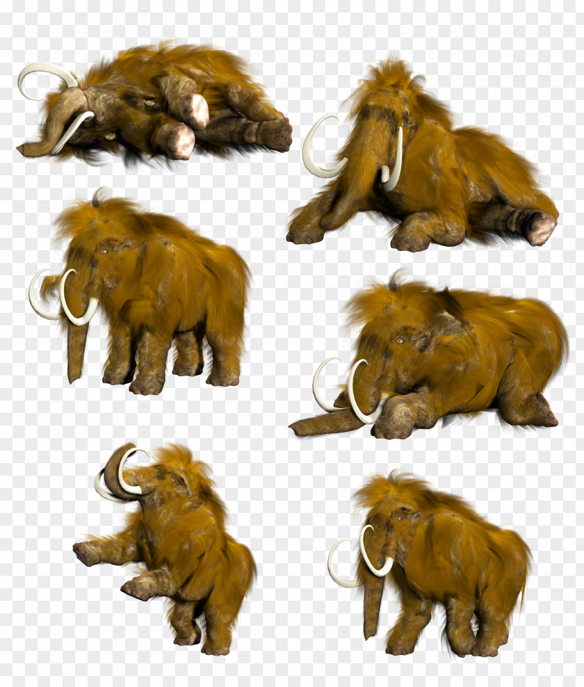Ancient Lion Mammoth Elephant Clip Art PNG