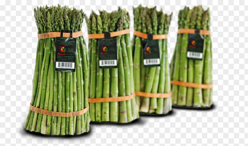 Asparagus Organic Food Farm Harvest Agriculture PNG