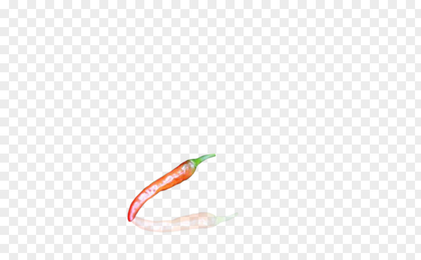 Capsicum Annuum Chili Pepper Cayenne Close-up PNG