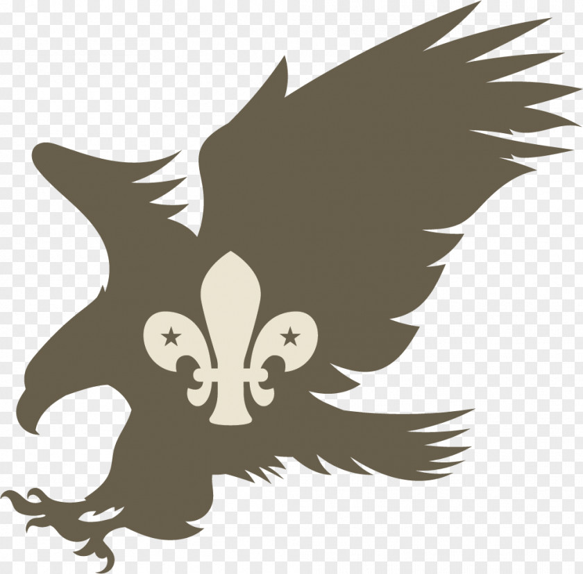 Eagle Silhouette Clip Art PNG