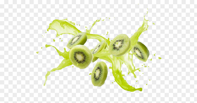 Kiwi Kiwifruit Download PNG