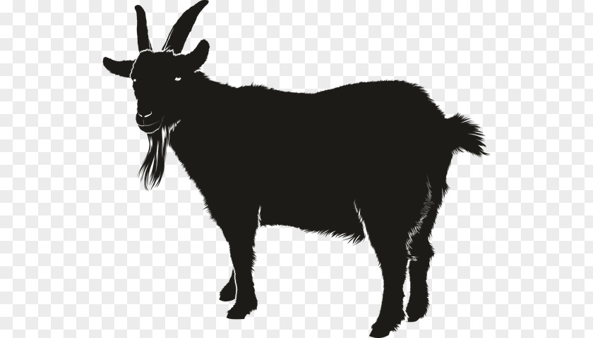Silhouette Boer Goat Black Bengal Vector Graphics Clip Art PNG