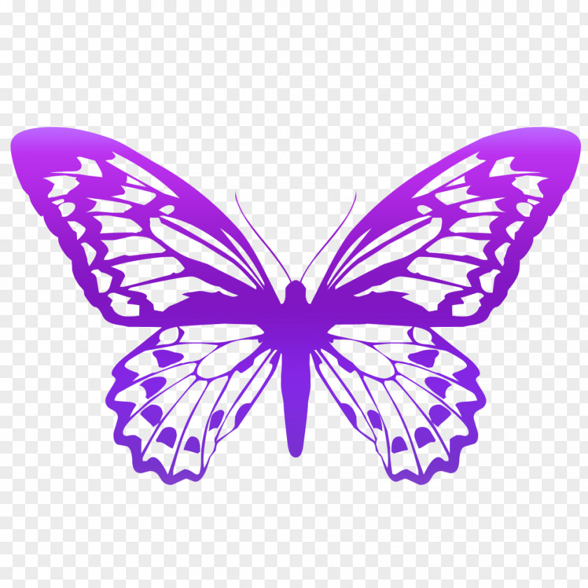 Butterfly Tinker Bell Fairy Silhouette Stencil PNG