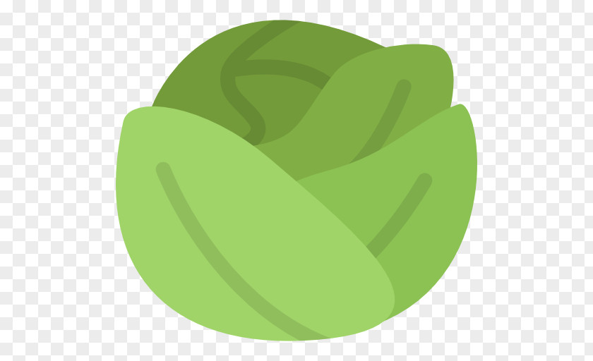 Cabbage Food Aarstiderne Auglis Fruit PNG