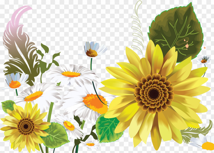 Camomile Limousin .de PNG