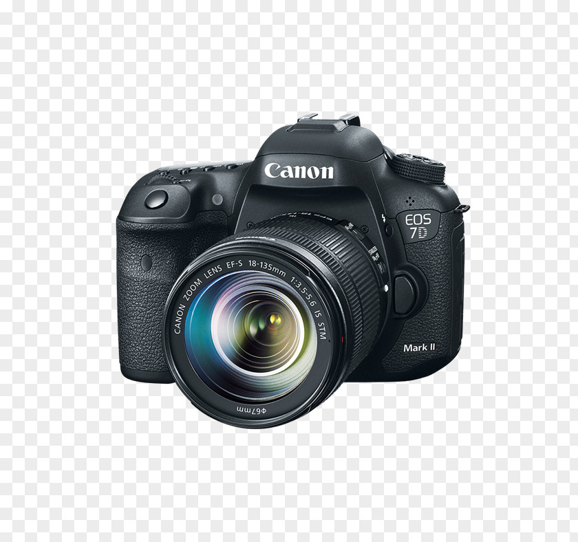 Canon 7d EOS 7D Mark II EF-S 18–135mm Lens Digital SLR PNG