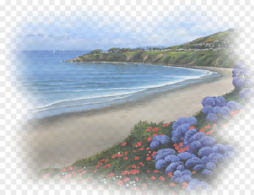 Sea Landscape Nature Desktop Wallpaper PNG