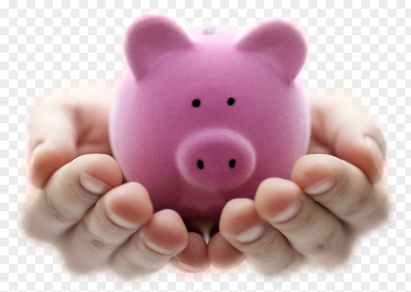 Bank Piggy Money Saving Finance PNG