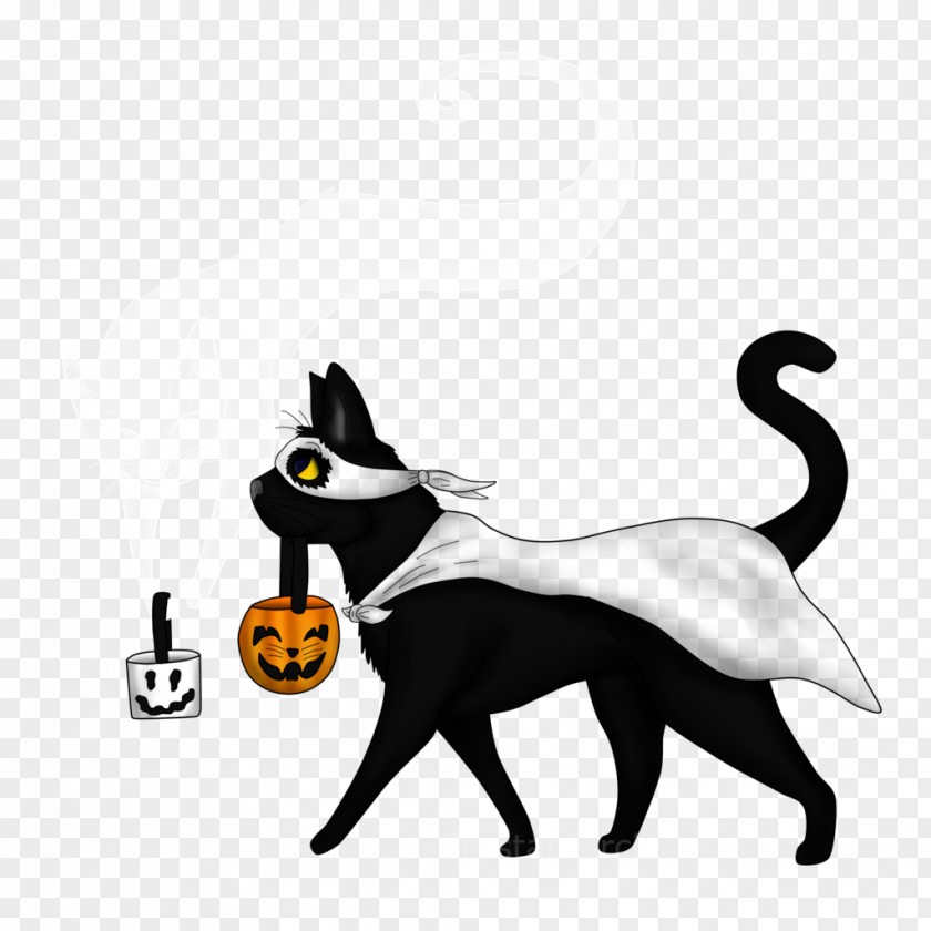 Spooky Cat Mammal Whiskers Animal Carnivora PNG
