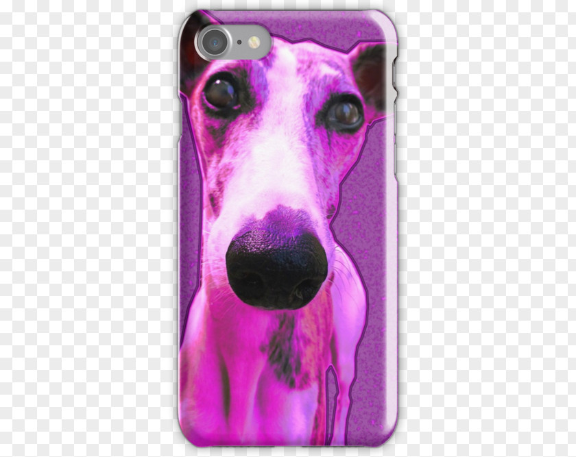 Sweet Peas Italian Greyhound Whippet Dog Breed Snout PNG