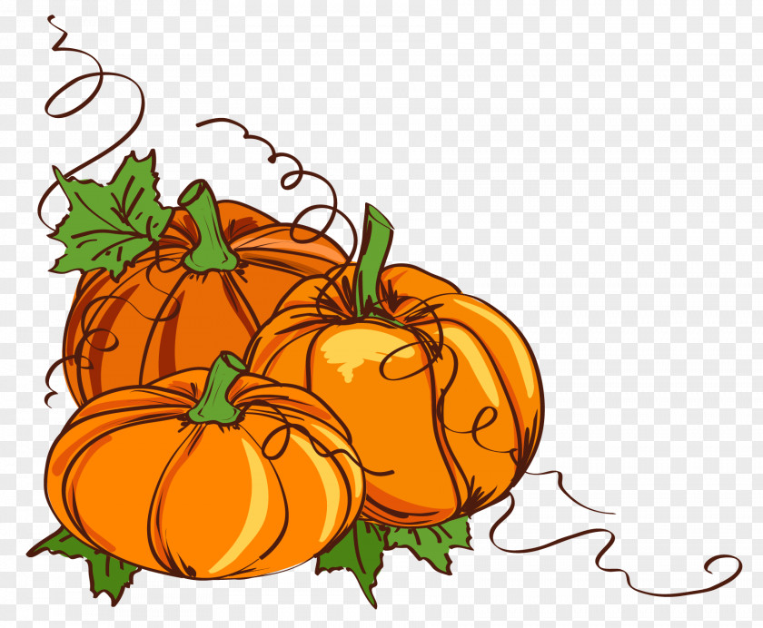 Thanksgiving Pumpkin Vine Hand-painted Illustration Wedding Invitation Clip Art PNG