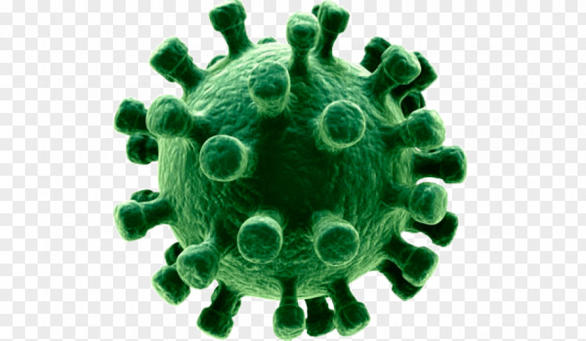 Virus Influenza Disease Upper Respiratory Tract Infection Epidemic PNG