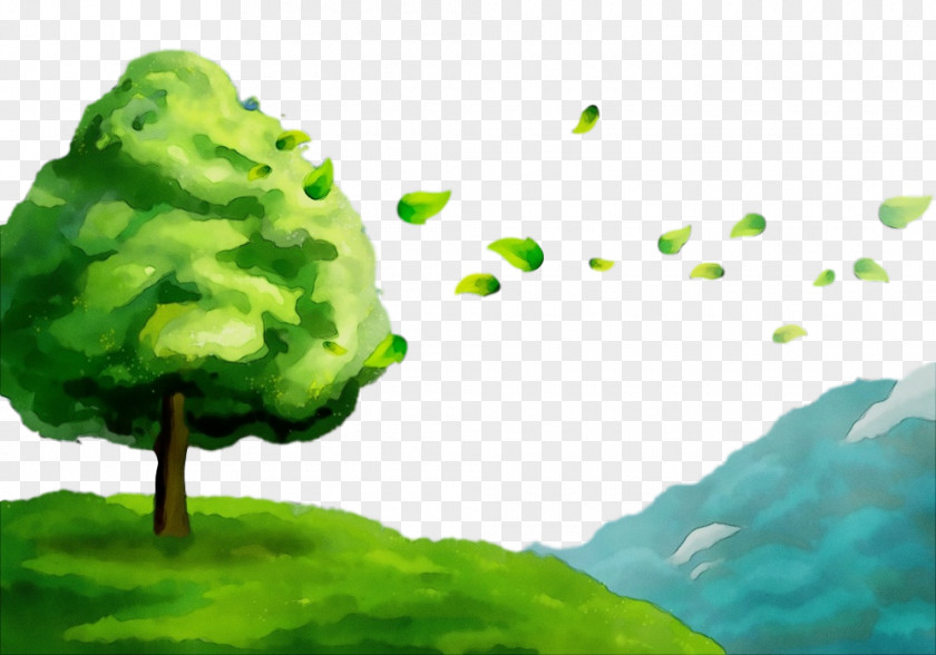 Grass Watercolor Paint Green Nature Leaf Water Tree PNG