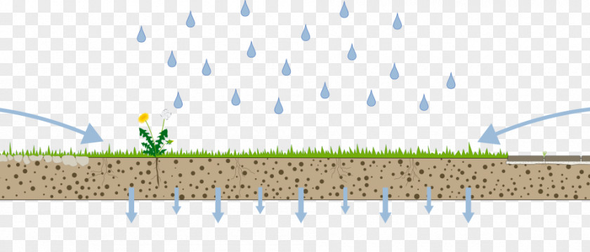 Infiltration Soil Stormwater Precipitation PNG