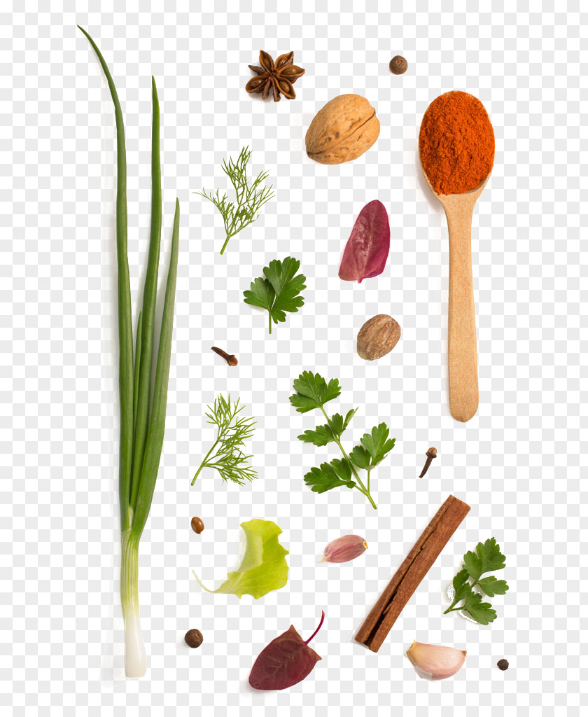 Parsley Spices Garlic Herb Spice Vegetable Condiment PNG