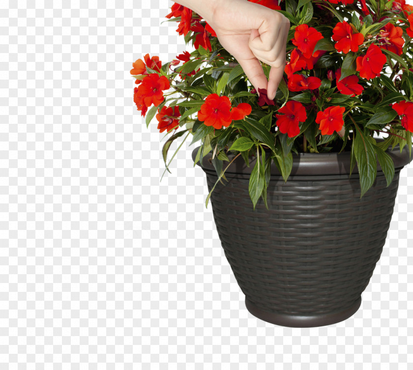 Vase Floral Design Container Garden Cut Flowers PNG