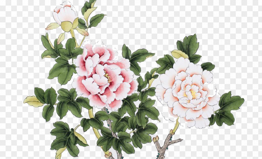 Branches Of Peony Flowers Chinese Painting PNG