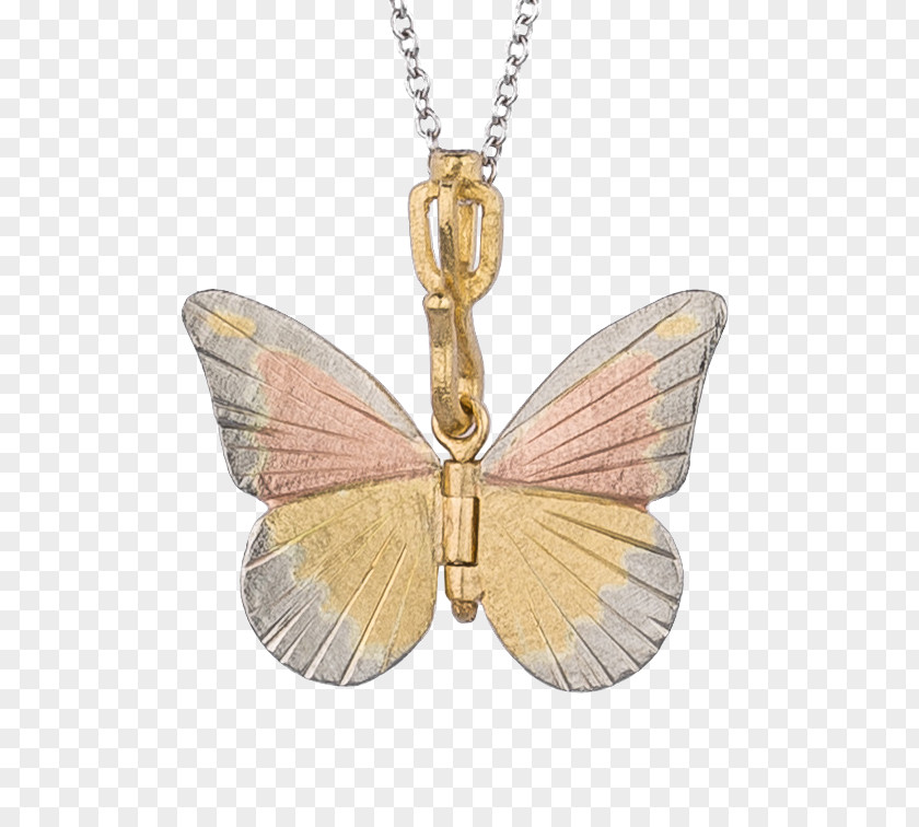 Butterfly Locket Jewellery Necklace Costume Jewelry PNG