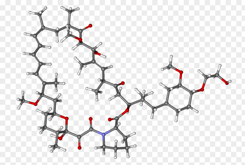 Everolimus Sirolimus Catumaxomab MTOR Belatacept PNG