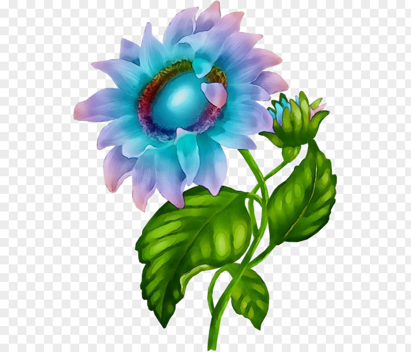 Floral Design PNG