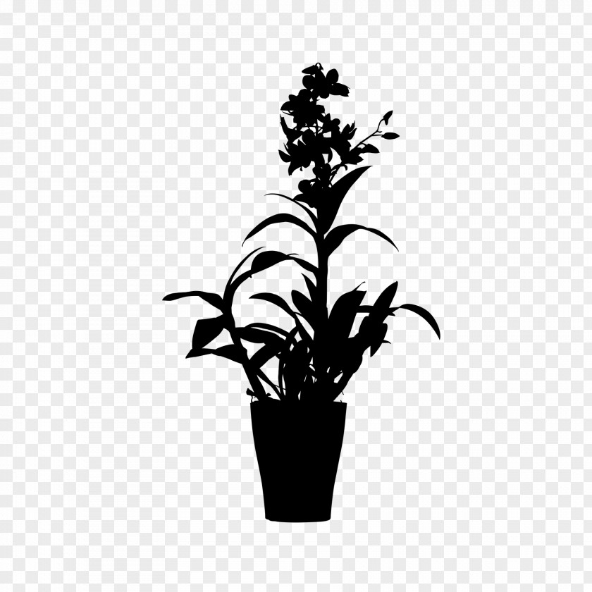 Flowerpot Houseplant Plant Stem Leaf PNG