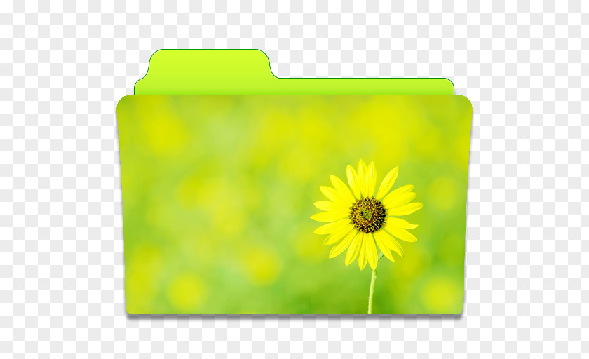 Folder Sunflower Meadow Petal Yellow PNG