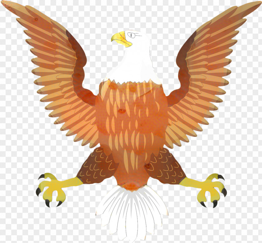 Redtailed Hawk Vulture Bird Logo PNG