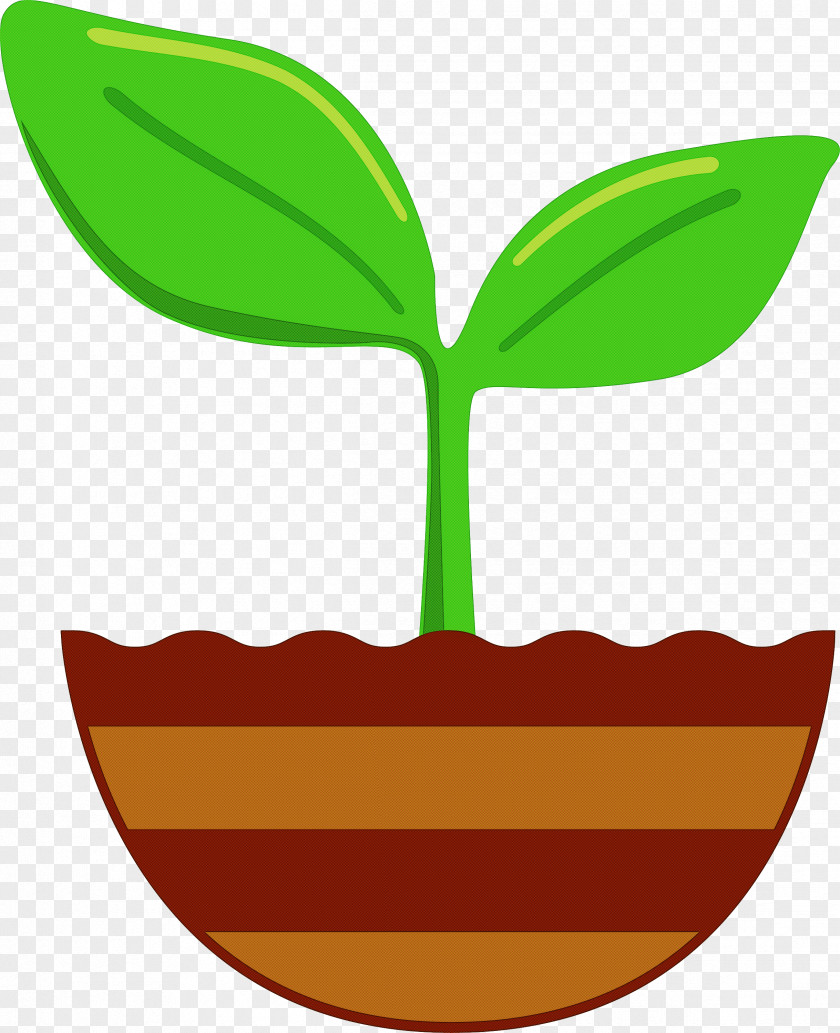 Sprout Bud Seed PNG