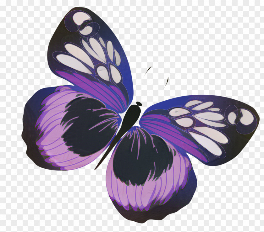 Butterfly Party Favor Paper Birthday PNG