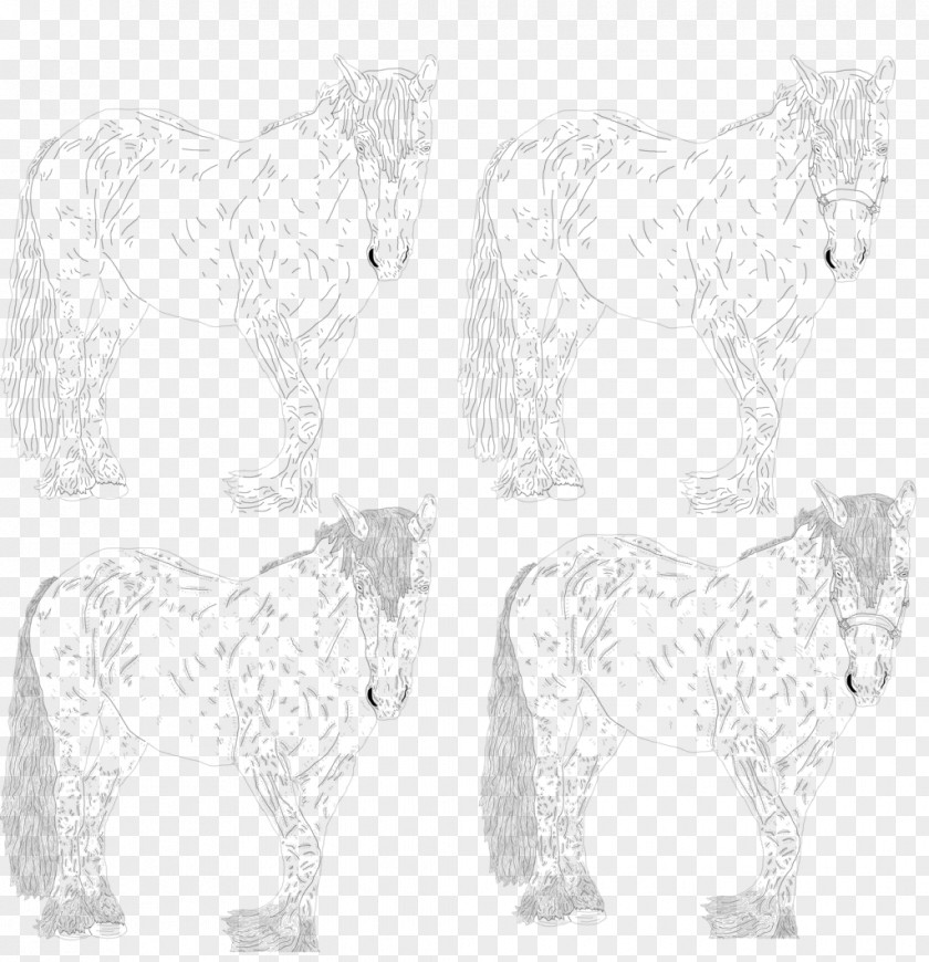 Mustang Ford Mane Pack Animal Sketch PNG