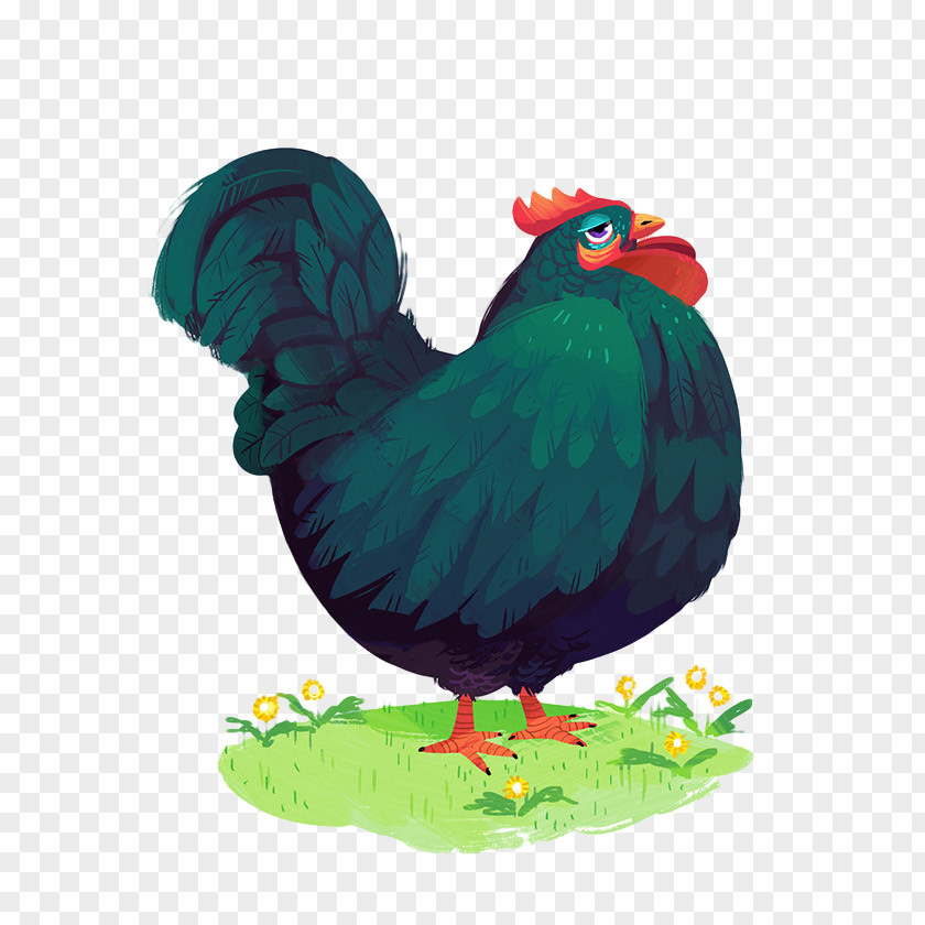 Picture Of Big Cock Chicken Rooster Cartoon Illustration PNG
