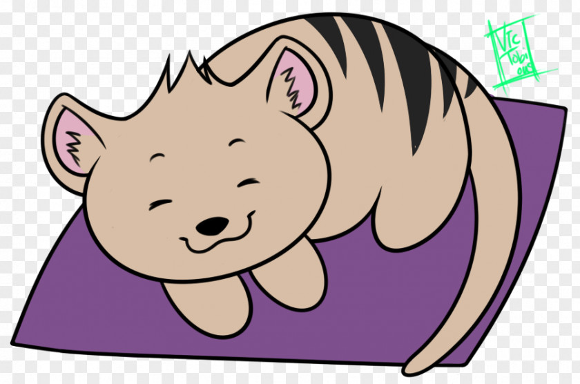 Pig Cat Snowball Neko Atsume Character PNG