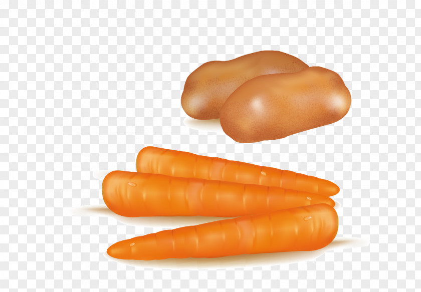 Potato Baby Carrot Bockwurst Knackwurst Cervelat Frankfurter Wxfcrstchen PNG