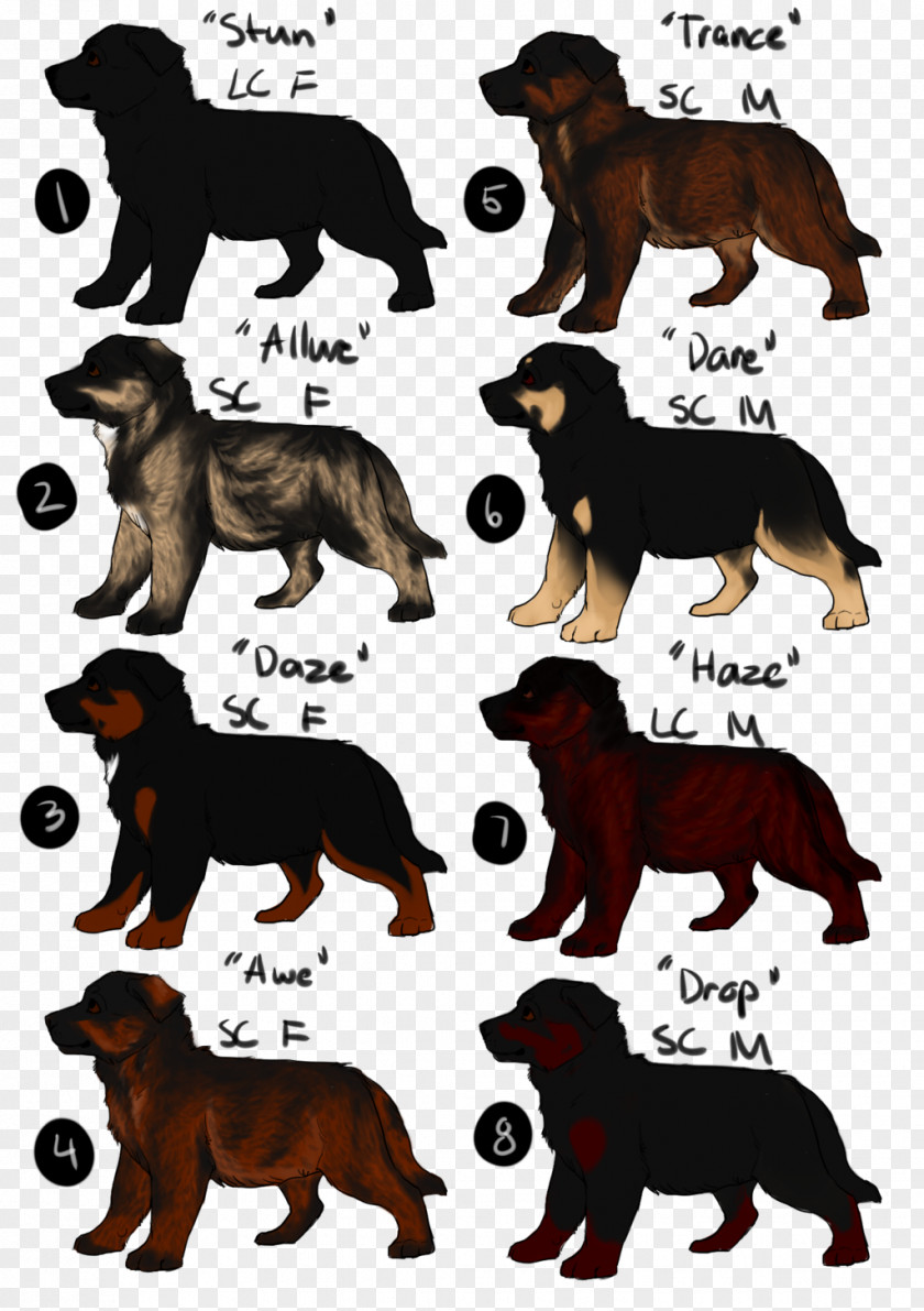 Schutzhund German Shepherd Litter Art Pit Bull Pony PNG