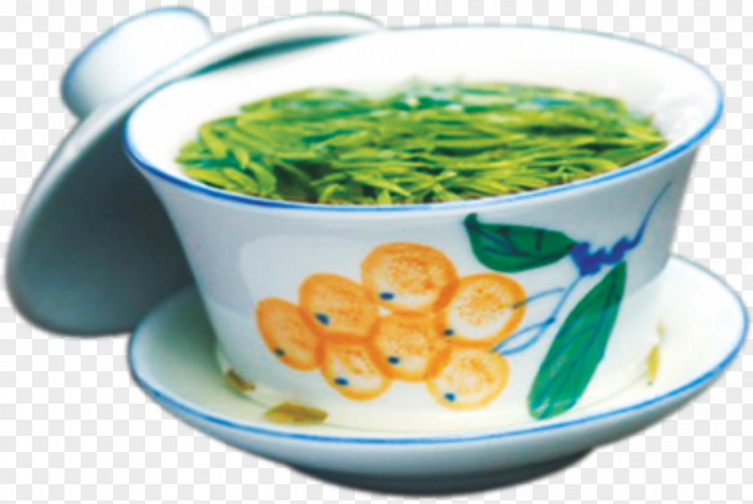 Cup Of Green Tea Mecha China PNG