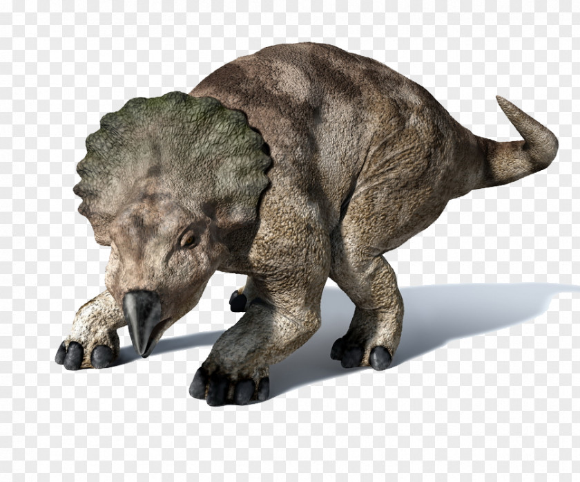 Dinosaur Protoceratops Triceratops Psittacosaurus Pentaceratops Velociraptor PNG