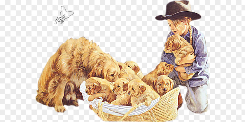 Dog In Kind Puppy Golden Retriever English Cocker Spaniel Animal PNG