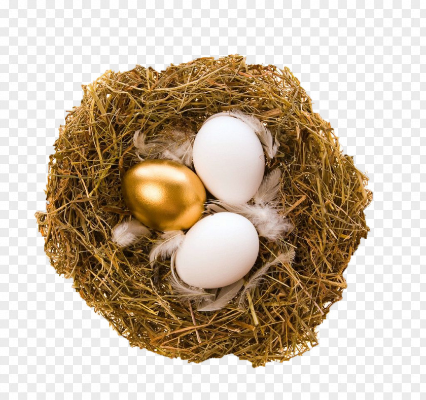 Golden Nest Egg Quail Bird PNG