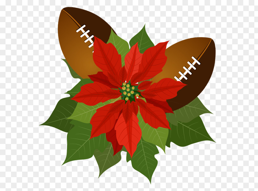 Pets Forever Living Poinsettia Clip Art Christmas Day PNG
