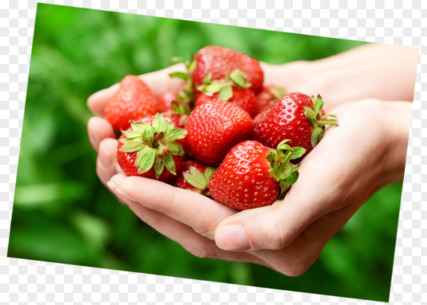 Strawberry Auglis Food Adobe Systems PNG
