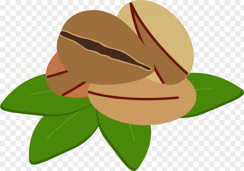 The Green Leaves Of A Root Petal Clip Art PNG