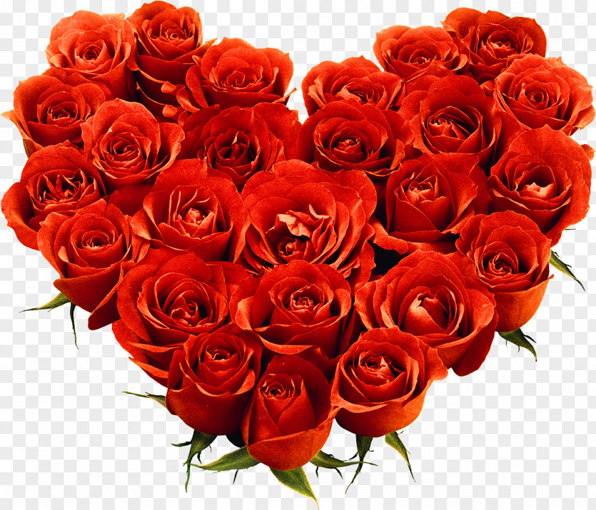 Bouquet Of Roses Heart Valentine's Day Flower Rose PNG