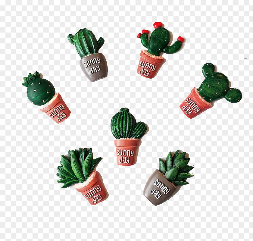 Cactus Ornamental Ceramics Download Gratis PNG