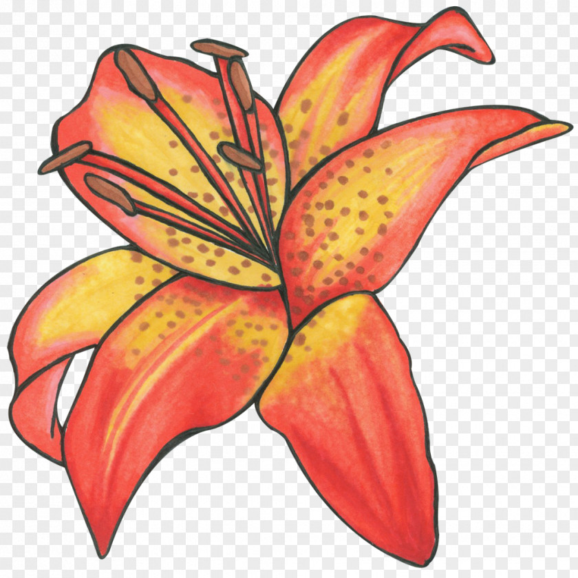 Design Floral Cut Flowers Leaf Plant Stem PNG