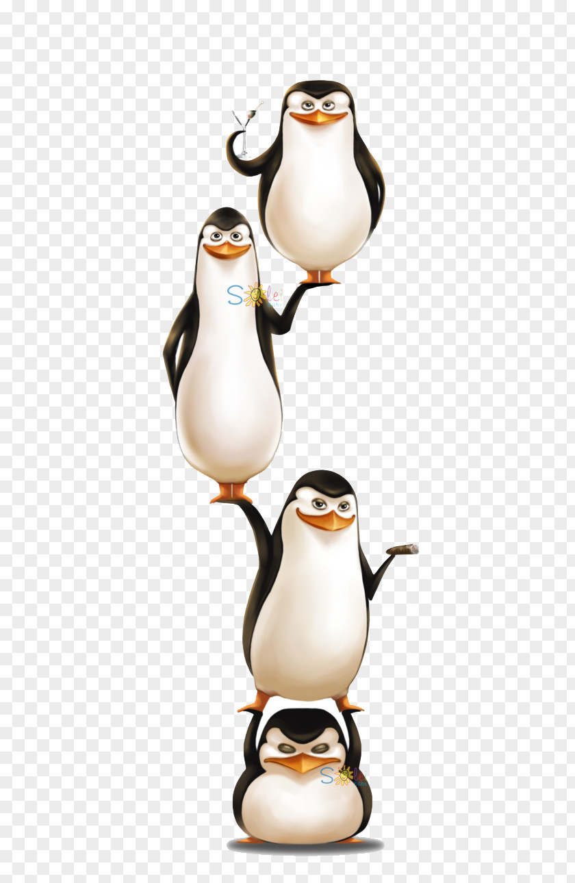 Penguin Skipper Kowalski Madagascar DreamWorks Animation PNG