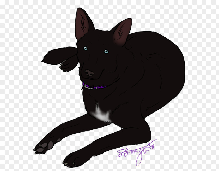 Puppy Whiskers Schipperke Australian Kelpie Dog Breed PNG