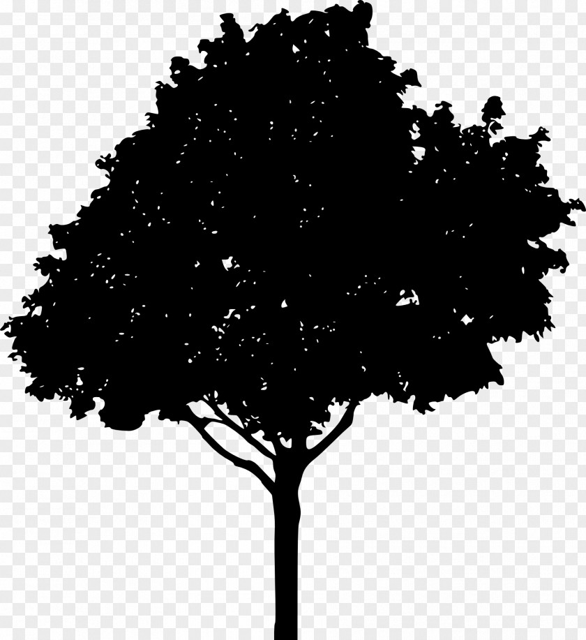 Tree Silhouette Oak Drawing Clip Art PNG
