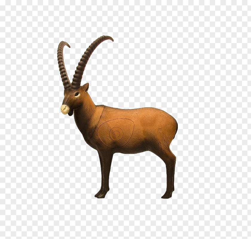 Alpine Ibex Chamois Archery Antler Hunting PNG